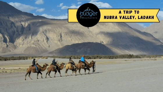 The Splendid Nubra Valley: Ladakh’s Own Gateway to Beauty and Splendor