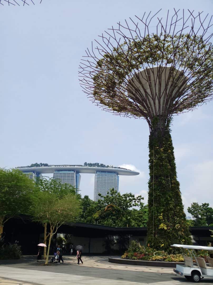 budget travel itinerary for singapore 
