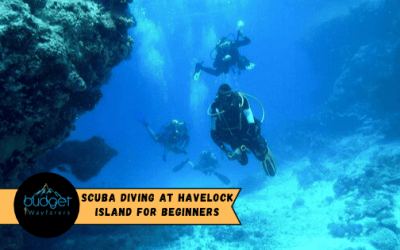 Scuba diving at Havelock Island for Beginners and Non-Swimmers