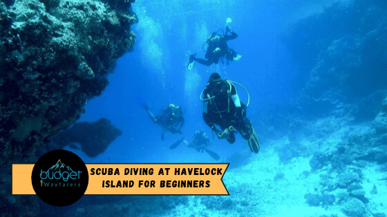 Scuba diving at Havelock Island for Beginners and Non-Swimmers