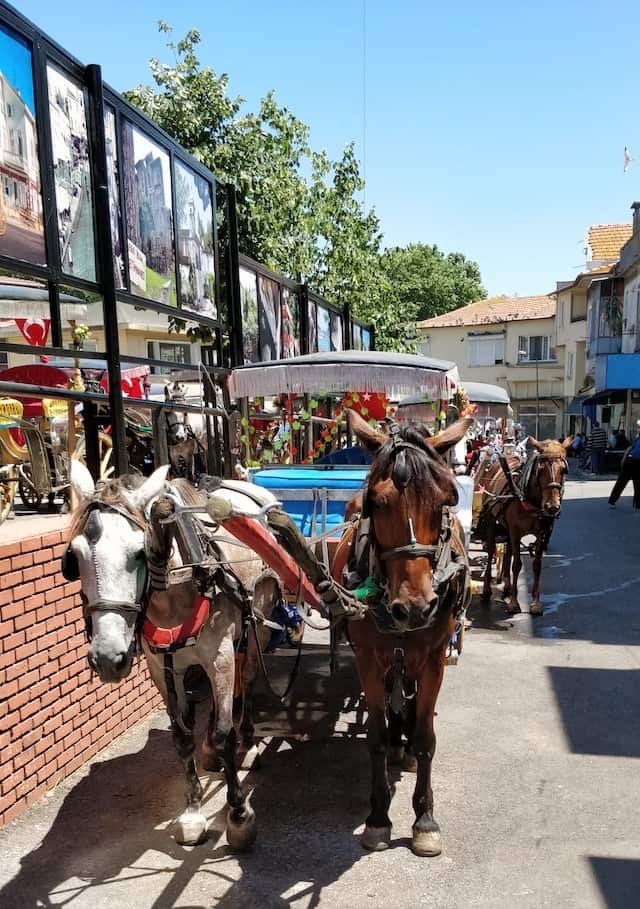 horse carts in bukuyada