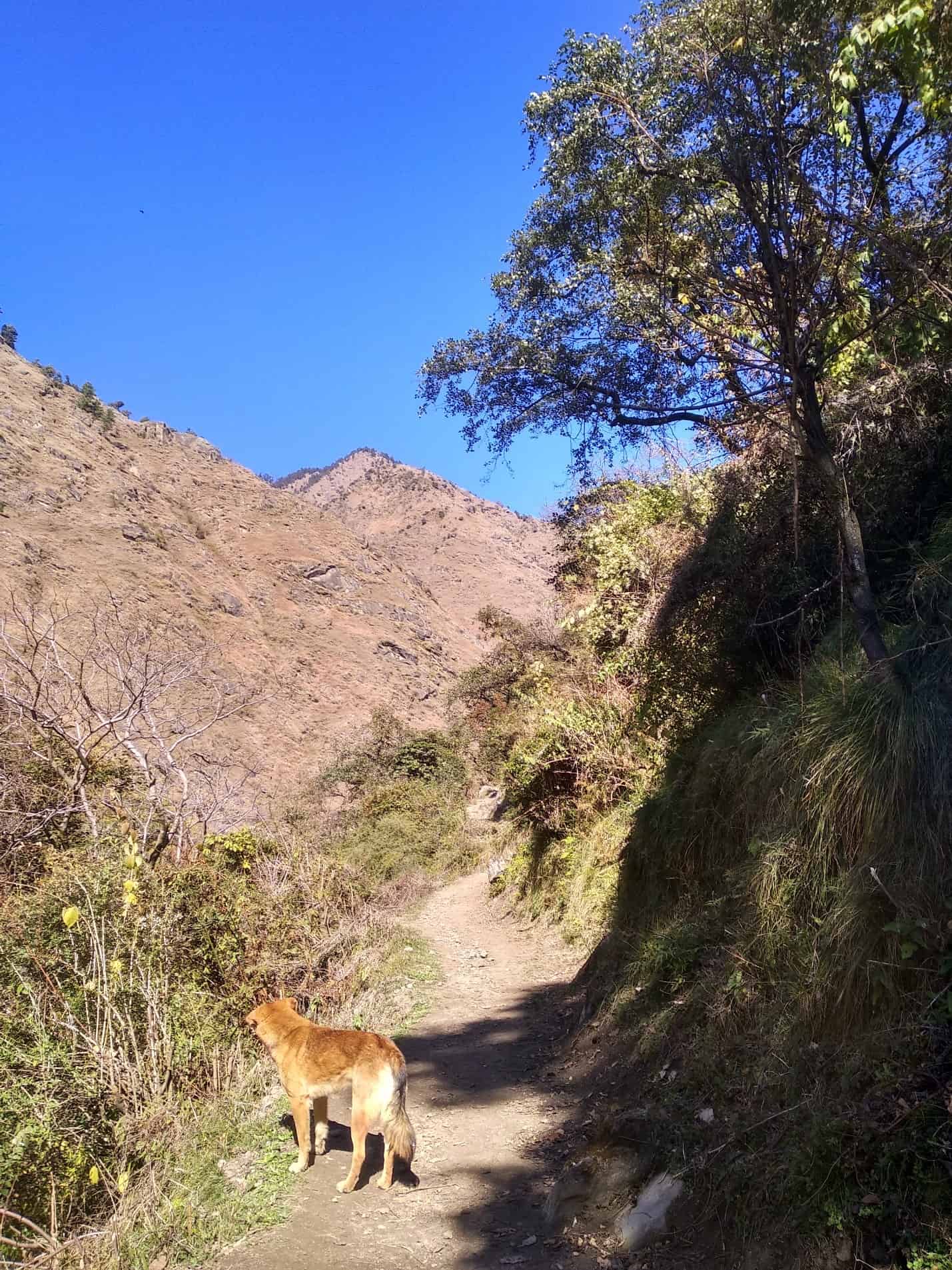 GHNP Tirthan Valley