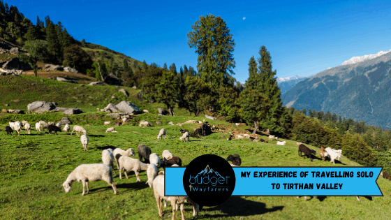 My Amazing Experience of Travelling Solo to Tirthan Valley