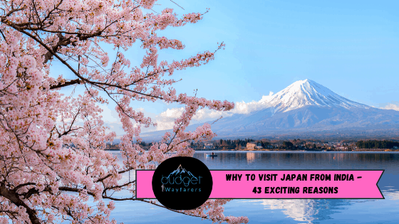 Why You Should Plan to Visit Japan From India | Top Reasons