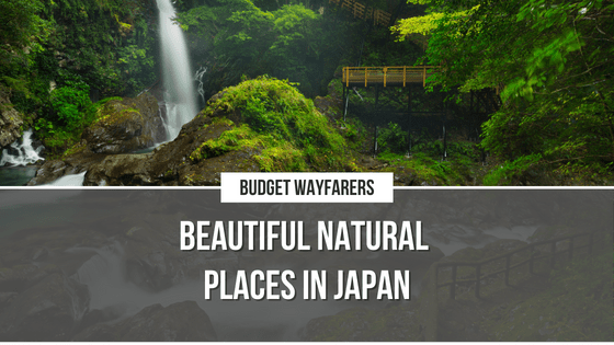 What are the Best Places to Explore in Japan As a Ardent Nature Lover?